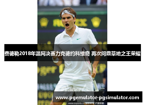 费德勒2018年温网决赛力克德约科维奇 再次问鼎草地之王荣耀