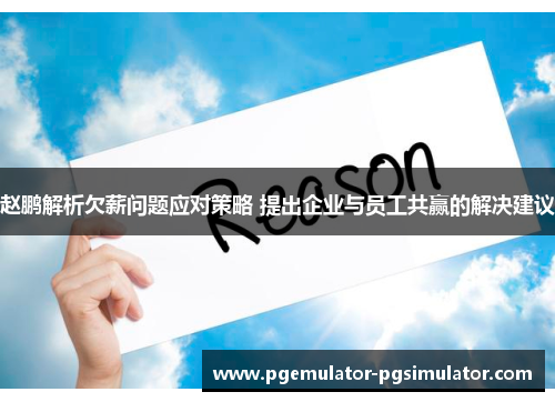 赵鹏解析欠薪问题应对策略 提出企业与员工共赢的解决建议