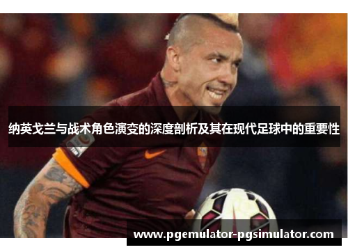 纳英戈兰与战术角色演变的深度剖析及其在现代足球中的重要性
