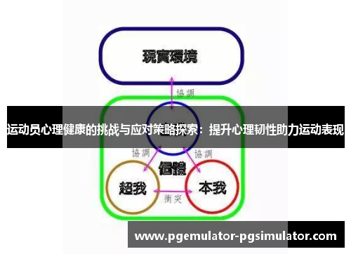 运动员心理健康的挑战与应对策略探索：提升心理韧性助力运动表现