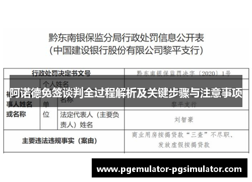 阿诺德免签谈判全过程解析及关键步骤与注意事项