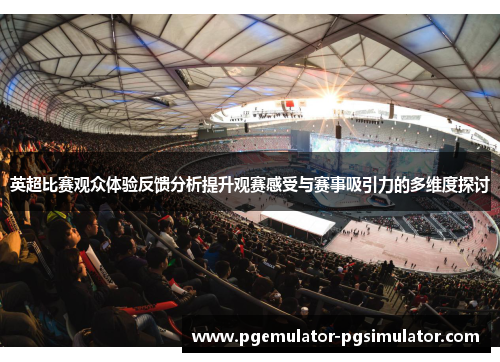 英超比赛观众体验反馈分析提升观赛感受与赛事吸引力的多维度探讨