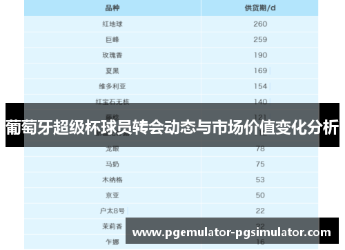 葡萄牙超级杯球员转会动态与市场价值变化分析