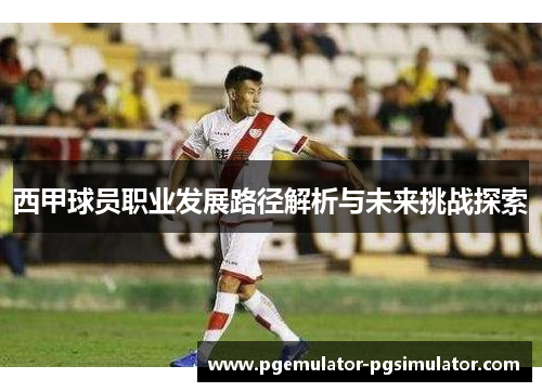 西甲球员职业发展路径解析与未来挑战探索