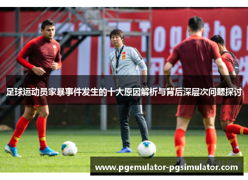 足球运动员家暴事件发生的十大原因解析与背后深层次问题探讨