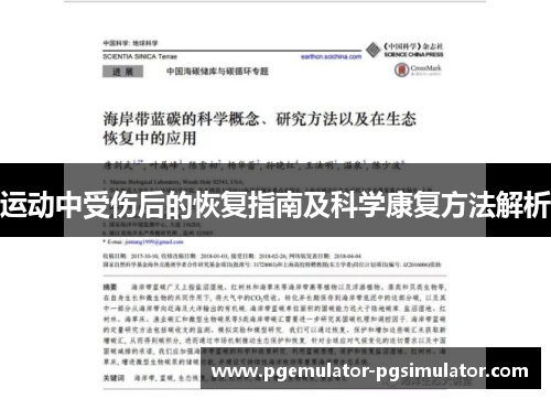 运动中受伤后的恢复指南及科学康复方法解析