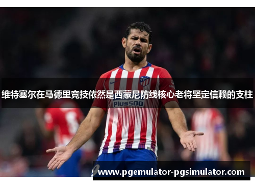 维特塞尔在马德里竞技依然是西蒙尼防线核心老将坚定信赖的支柱