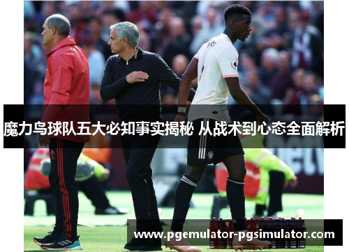 魔力鸟球队五大必知事实揭秘 从战术到心态全面解析
