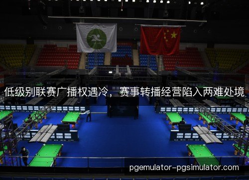 低级别联赛广播权遇冷，赛事转播经营陷入两难处境